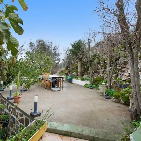 Alejo Villa *
