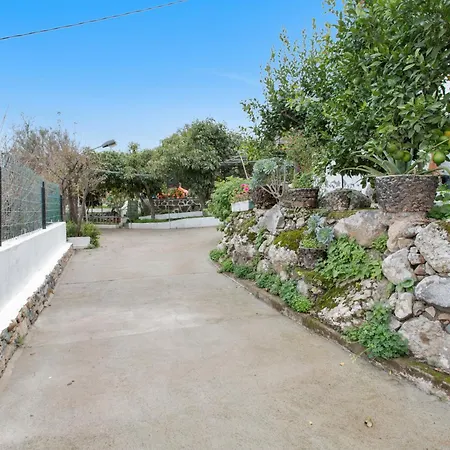 Alejo * فاليسكيو