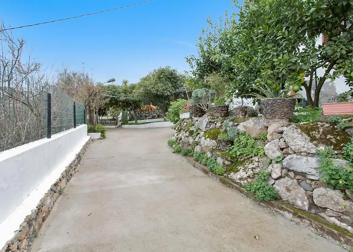 Alejo * فاليسكيو