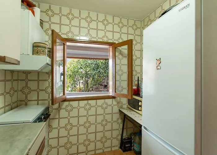 Alejo فيلة فاليسكيو