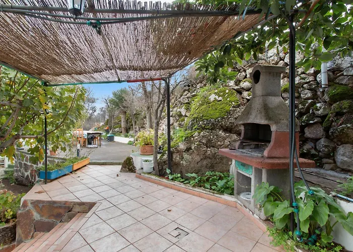 فيلة Alejo فاليسكيو